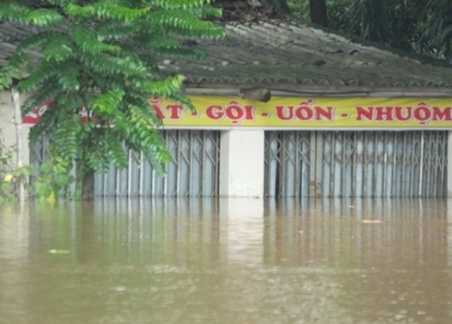 Nước dâng cao gần nóc nhà, hàng trăm gia đình nháo nhào chạy lũ - 14
Hàng trăm hộ dân của các xã Thành Trực, Thành Kim, Thành Thọ, Thành Mỹ, Thạch Định nước đã dâng lên nửa nhà