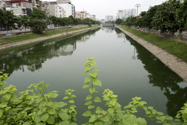 Nước sông Tô Lịch chuyển màu xanh như nước hồ Gươm - 9 Nước sông Tô Lịch chuyển màu xanh như nước hồ Gươm - 9