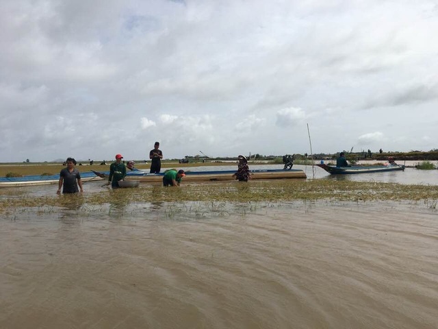 Mưa xuống, lũ lên, hàng trăm hecta lúa bị nhấn chìm trong biển nước - 5
Toàn bộ diện tích lúa bị ngập ở An Giang là những cánh đồng lúa sản xuất ngoài đê bao. Ngành chức năng chỉ khuyến cáo người dân chỉ nên làm 2 vụ...