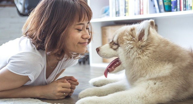 Các nhà khoa học giải mã phản ứng của cún cưng với cảm xúc của chủ - 1 Các nhà khoa học giải mã phản ứng của cún cưng với cảm xúc của chủ - 1