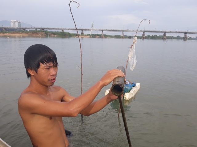 Quảng Ngãi: Độc đáo nghề đặt ống tre bắt cá bống sông Trà - 1 Ống tre bẫy cá bống được đục thủng 2 đầu rồi cắm xuống sông, nơi cắm ống được đánh dấu bằng nhánh cây