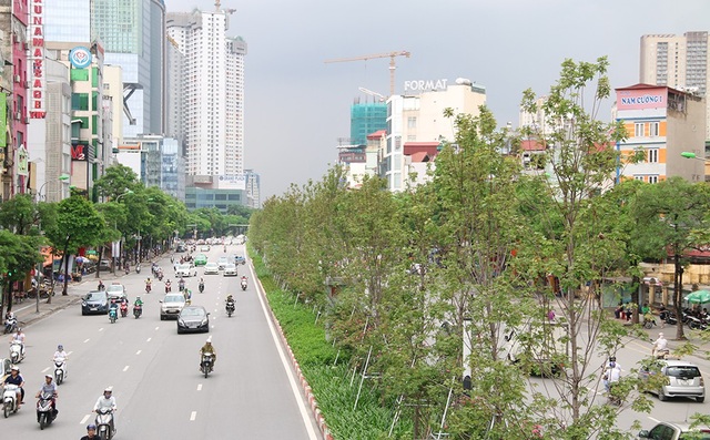 Hàng phong lá đỏ tại Hà Nội bất ngờ khoe sắc - 12
Ở thời điểm Hà Nội bắt đầu trồng phong lá đỏ, một số người chưa tin rằng loài cây này phù hợp với khí hậu nhiệt đới của Việt Nam. Trao đổi cùng phóng viên cách đây ít phút, một số chuyên gia vẫn cho rằng còn quá sớm để khẳng định loại cây này đã hoàn toàn thích ứng với khí hậu và điều kiện môi trường tại Hà Nội.