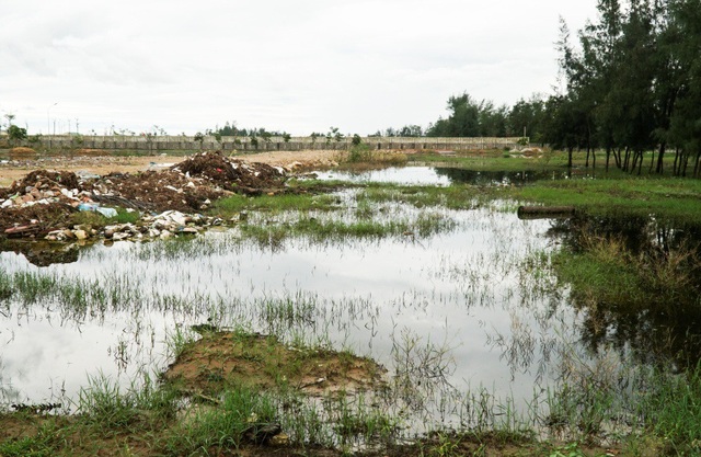 Thanh Hóa: Nước thải, rác bẩn ngập ngụa khu du lịch biển Hải Tiến - 1
Bãi đất trống ở cuối khu du lịch Hải Tiến rộng hàng nghìn m2 là nơi xả nước thải và rác sinh hoạt. Nơi đây nằm sát thôn Quang Trung, Trung Hải (xã Hoằng Thanh), nước thải không thoát kịp ứ đọng lại, bốc mùi hôi thối khủng khiếp.