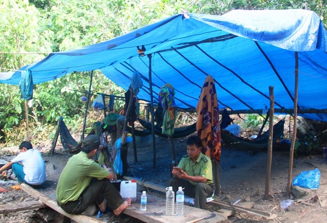 Khởi tố đối tượng kề mã tấu, dọa giết kiểm lâm - 1 Gần đây trên địa bàn tỉnh Bình Định thường xuyên xảy ra tình trạng lâm tặc tấn công gây thương tích lực lượng kiểm lâm.