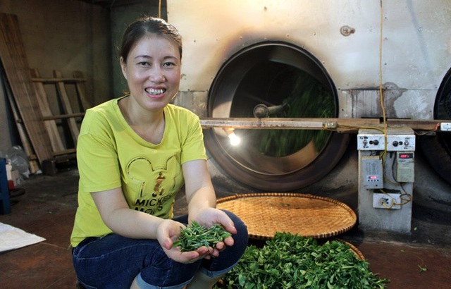 Trà đinh đắt như vàng ròng: Bán dăm cân có ngàn USD, thôn nữ thu bạc tỷ - 3
Búp trà đinh khá nhỏ nên trong quá trình chế biến chị Minh rất cẩn trọng
