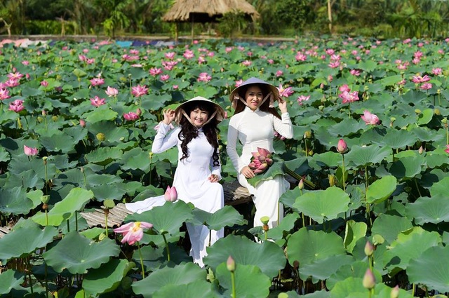 Giới trẻ phát sốt với đầm sen đẹp ngỡ ngàng giữa lòng Sài Gòn - 6 Giới trẻ phát sốt với đầm sen đẹp ngỡ ngàng giữa lòng Sài Gòn - 6