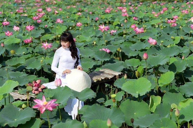 Giới trẻ phát sốt với đầm sen đẹp ngỡ ngàng giữa lòng Sài Gòn - 2 Giới trẻ phát sốt với đầm sen đẹp ngỡ ngàng giữa lòng Sài Gòn - 2