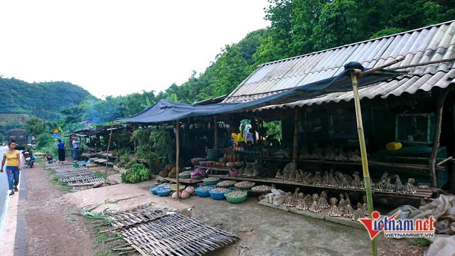 Cung đường đèo Tây Bắc sực nức mùi tỏi tươi - 1 Sạp hàng tỏi dọc quốc lộ 6 đoạn qua xã Chiềng Đông, Yên Châu