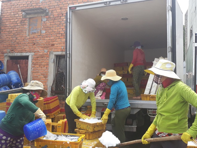 Quảng Ngãi: Ngư dân buồn vì sản lượng hải sản sụt giảm - 2 Sản lượng đánh bắt giảm khiến nhiều chủ tàu cá thua lỗ sau những chuyến biển dài ngày