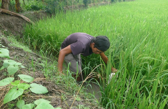 Mẹ nghèo mong có vài triệu đồng để cứu đứa con trong bụng - 6 Anh Toàn đã mang căn bệnh gai cột sống mấy năm qua nhưng đến nay vẫn cam chịu, vì phải chạy đói từng bữa nên anh chẳng dám nghỉ làm