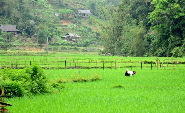 Đi qua cổng trời Hòa - Thanh - 1 Đi qua cổng trời Hòa - Thanh - 1