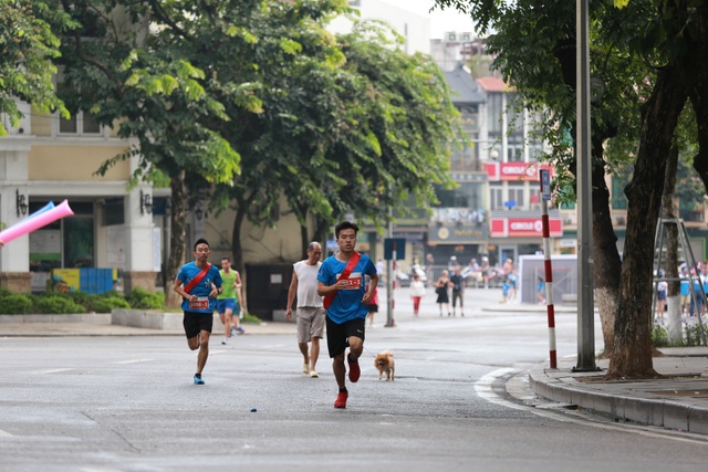 Sôi động giải chạy tiếp sức MB Ageas Life Family Ekiden - 2
Các thành viên giải chạy đều rất nỗ lực về đích