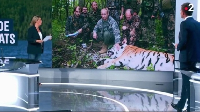 Truyền hình Pháp bị chỉ trích vì đưa tin sai lệch ông Putin đi săn hổ - 1 Truyền hình Pháp đưa tin về Tổng thống Putin (Ảnh: RT)