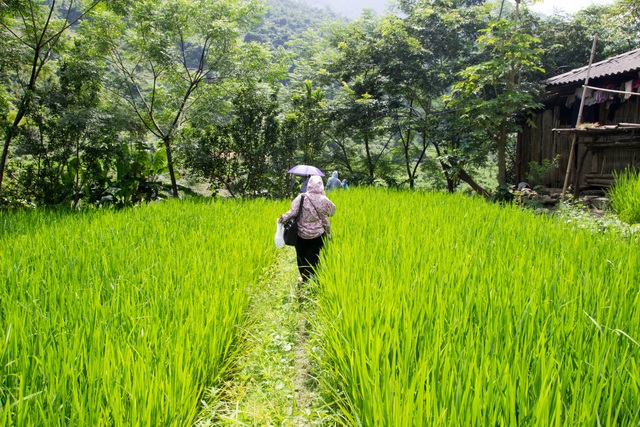 Một ngày theo chân cô giáo vùng cao trèo đèo, lội suối dạy học - 3 Một ngày theo chân cô giáo vùng cao trèo đèo, lội suối dạy học - 3