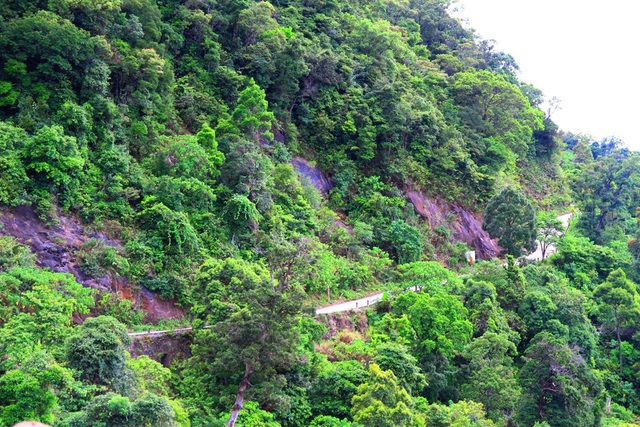 Khám phá Bạch Mã: Khu nghỉ dưỡng siêu đẹp bị lãng quên - 7 Những khúc đèo uốn lượn quanh co khá hiểm trở để lên Bạch Mã