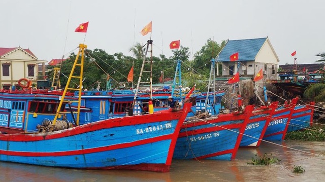 Hải Phòng, Nam Định hối hả chống bão - 11
Tàu thuyền của ngư dân Nghệ An nằm bờ tránh bão.