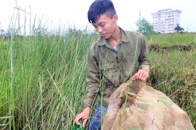 “Cậu học trò thiếu cha, vắng mẹ” giàu nghị lực đã nhập học ngôi trường mơ ước - 3 Để có tiền ăn học, giúp bà ngoại già yếu hằng ngày Phương phải đi thả túm bắt lươn, bắt cáy