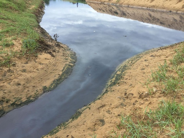 Vụ hồ tôm đầu độc môi trường: Những quyết định “giật mình” của huyện Nghi Xuân - 1