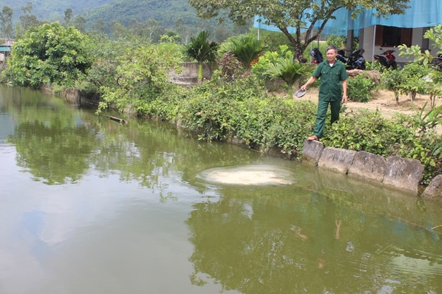 Hạnh phúc ngọt ngào của người cựu binh sau 40 năm bám rừng, khai hoang - 2 0,1ha ông đào ao nuôi các loại cá