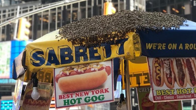 Hơn 20.000 con ong bất ngờ tấn công quảng trường Thời Đại - 1 Ong tấn công quầy hotdog