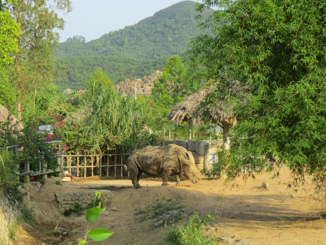 Khu du lịch sinh thái Diễm Lâm: Nơi trải nghiệm cung bậc cuộc sống - 3 Khu du lịch sinh thái Diễm Lâm: Nơi trải nghiệm cung bậc cuộc sống - 3