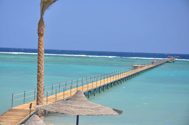 Du khách bị cá mập cắn chết khi bơi ở vùng biển đã được cảnh báo - 1 Bãi biển Marsa Alam thơ mộng ở Ai Cập là điểm đến thu hút khách quốc tế