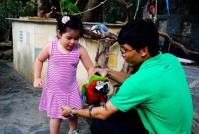 Thích thú với quán cà phê nuôi đầy vẹt ở Sài Gòn - 2 Quán thu hút nhiều gia đình có con nhỏ tới vui chơi.