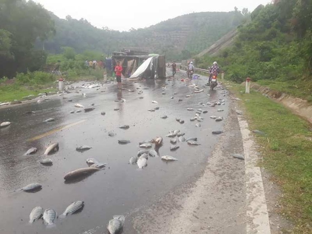 Xe tải bất ngờ lật nghiêng, cá vương vãi khắp nơi trên đường - 5 Cá trên thùng xe bị rơi ra ngoài, vương vãi khắp nơi trên đường.