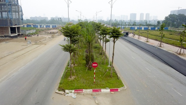 Ngắm từ trên cao tuyến đường 5.000 tỷ nối bốn quận, huyện tại Hà Nội - 7 Tuyến đường có dải phân cách rộng từ 5-7m, được trồng cây bàng lá nhỏ Đài Loan và cây cọ dầu.