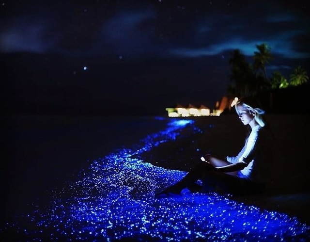 Chiêm ngưỡng những cảnh đẹp siêu thực như ở ngoài hành tinh - 20 Đảo Vaadhoo ở Maldives được bao quanh bởi một biển sao phát sáng nhờ vào một loại thực vật phù du nào đó.