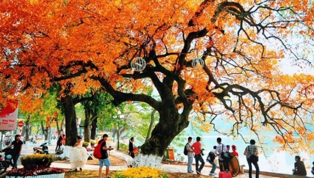 Những chuyến du lịch mùa thu sao có thể bỏ lỡ những điểm đến lãng mạn này - 14 Những chuyến du lịch mùa thu sao có thể bỏ lỡ những điểm đến lãng mạn này - 14