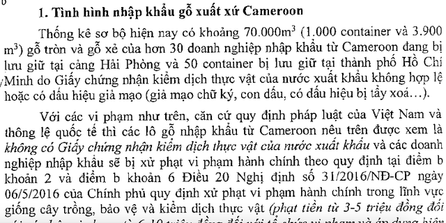 Vụ 70.000 m3 gỗ ngoại nghi né kiểm dịch thực vật, Chính phủ yêu cầu xử lý nghiêm - 1
Báo cáo của Bộ Nông nghiệp về tình trạng nhập gỗ từ Cameroon