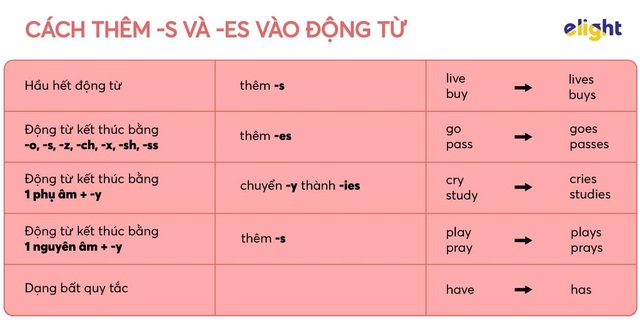 Học tiếng Anh: Quy tắc đọc và chia -s, -es cho động từ mà bạn nên thuộc lòng | Báo Dân trí Học Tiếng Anh: Quy Tắc Đọc Và Chia -S, -Es Cho Động Từ Mà Bạn Nên Thuộc Lòng | Báo Dân Trí