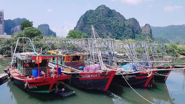 Ứng phó siêu bão Mangkhut: Sẵn sàng phương án sơ tán hàng chục nghìn dân - 3 Quảng Ninh đã lệnh cấm tàu thuyền để đảm bảo an toàn