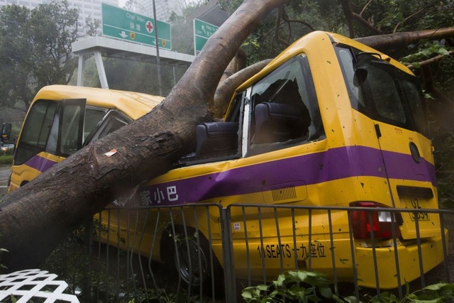 Bão mạnh nhất hành tinh tàn phá Trung Quốc - 9
Một xe buýt đưa đón học sinh bị cây đè ngang thân tại Hong Kong hôm 16/9. (Ảnh: EPA)