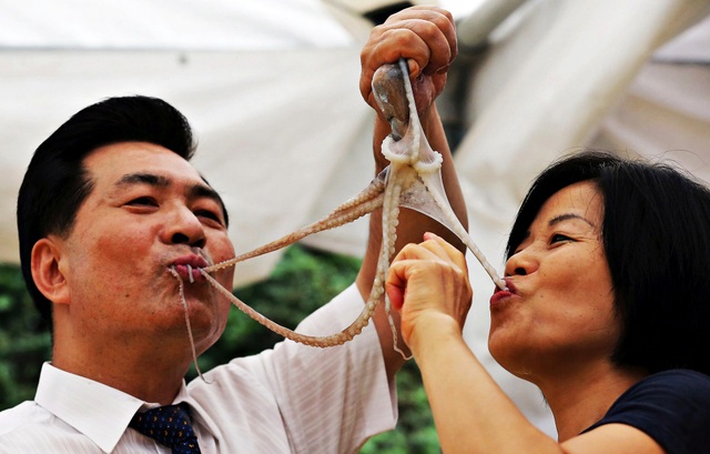 Ngoài thịt chó, 5 món ăn này cũng gây tranh cãi kịch liệt vì độ tàn nhẫn - 7 Thực khách yêu thích món này không chỉ vì độ tươi ngon của bạch tuộc, mà còn vì cảm giác đặc biệt khi các xúc tu bạch tuộc bám vào miệng.