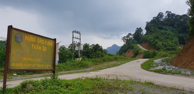 Làm rõ việc khai thác khoáng sản ở rừng đặc dụng Thần Sa - 1 Rừng đặc dụng Thần Sa bị xâm hại bởi hoạt động khai thác vàng sa khoáng (Ảnh: V.H).