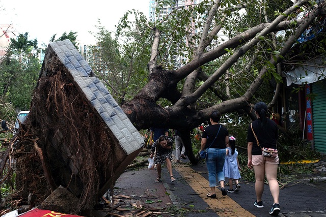 Cảnh tượng ngổn ngang tại những nơi siêu bão Mangkhut càn quét - 14 (Ảnh: Reuters)