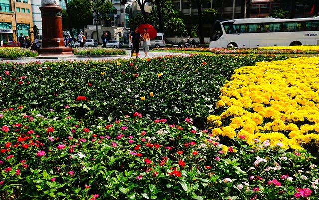 Khách Tây thích thú vườn hoa đầy sắc màu trước nhà thờ Đức Bà - 10 Khách Tây thích thú vườn hoa đầy sắc màu trước nhà thờ Đức Bà - 10