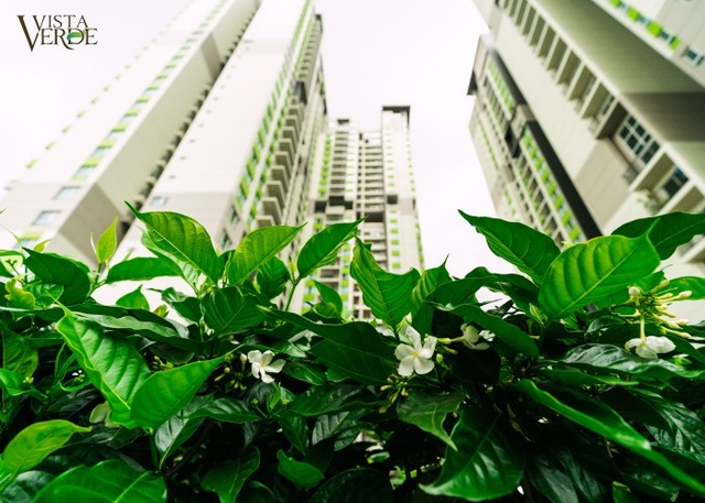 “Cơn khát” đô thị xanh – “Điểm nóng” cạnh tranh - 2 Thiết kế phủ xanh 4m2/người tại Vista Verde