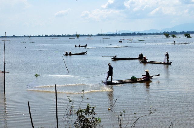 An Giang: Mùa nước nổi nhộn nhịp bắt cá tôm, hái bông điên điển - 1 An Giang: Mùa nước nổi nhộn nhịp bắt cá tôm, hái bông điên điển - 1