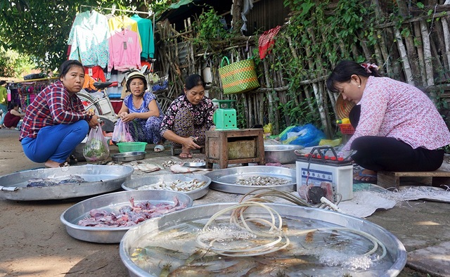 An Giang: Mùa nước nổi nhộn nhịp bắt cá tôm, hái bông điên điển - 3 Một góc chợ quê ở An Giang. Chỉ 1 góc chợ quê thôi nhưng mùa nước nổi không thiếu sản vật, muốn ăn cá gì có cá đó.