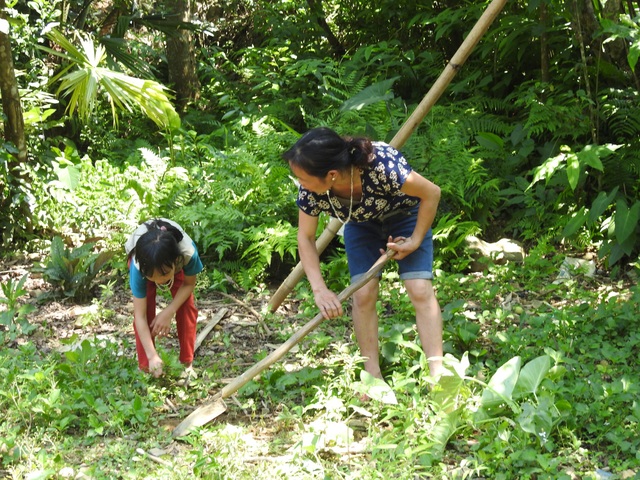 Cuộc sống "rách nát" của 2 mẹ con đơn thân người dân tộc Tày - 2
Để có tiền nuôi con, cứ ai thuê gì chị Mang làm nấy. Hai mẹ con đi hái rau vườn chuẩn bị bữa cơm trưa