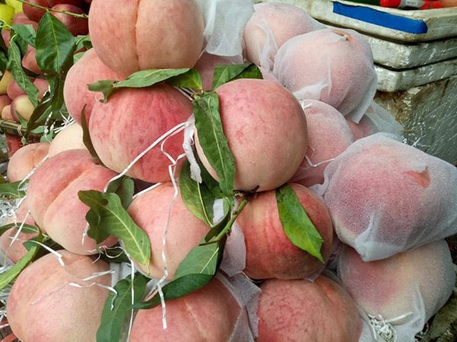 Sự thật đào tiên khổng lồ mới xuất hiện: 1 kg/quả, giá chỉ 10.000 đồng - 2
Đào tiên Trung Quốc đang được bày bán tràn ngập thị trường