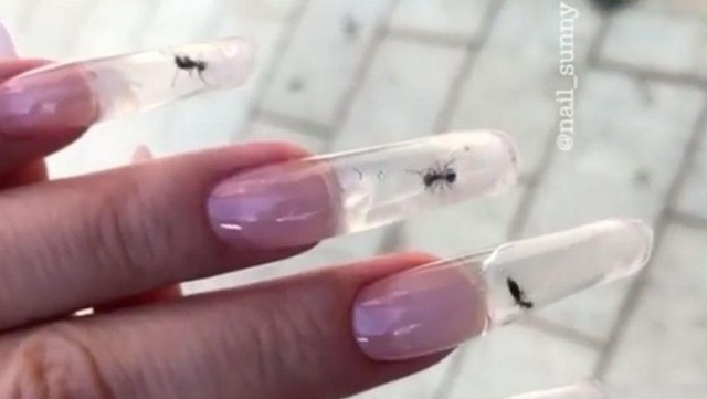 Nhốt kiến sống trong móng tay để làm đẹp | Báo Dân trí