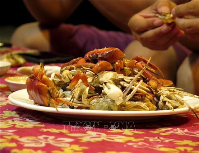 Tới đảo Bé, Lý Sơn trải nghiệm săn cua, còng đêm - 2 Tới đảo Bé, Lý Sơn trải nghiệm săn cua, còng đêm - 2