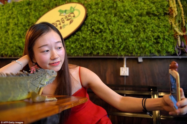 Đến quán cafe cảm giác mạnh: Chơi cùng rắn, bọ cạp và cự đà - 3 Đến quán cafe cảm giác mạnh: Chơi cùng rắn, bọ cạp và cự đà - 3