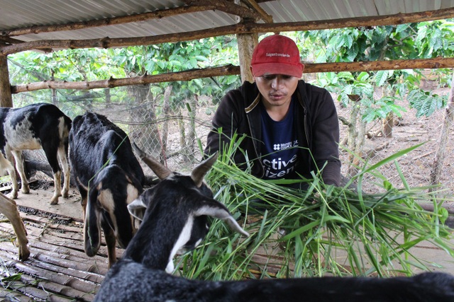 Chàng kỹ sư người K’ho về quê khởi nghiệp kiếm hàng trăm triệu đồng - 2 Khi còn là sinh viên, Brooke đã tìm hiểu những cách làm nông nghiệp phù hợp với hoàn cảnh và thực tế của địa phương để tăng năng suất và hiệu quả kinh tế
