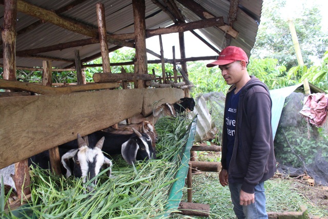 Chàng kỹ sư người K’ho về quê khởi nghiệp kiếm hàng trăm triệu đồng - 4 Nhờ sự chịu khó, cần cù mà giờ đây Brooke đã có trong tay mô hình nông nghiệp độc đáo nhất địa phương cho thu nhập cao