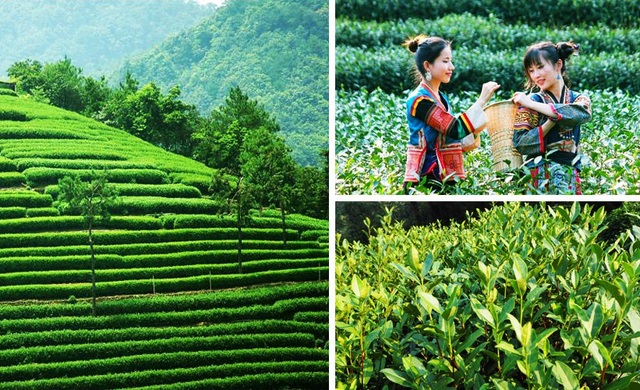 Đến thăm thành phố đẹp nhất thế giới tại Trung Quốc - 9 Đến thăm thành phố đẹp nhất thế giới tại Trung Quốc - 9